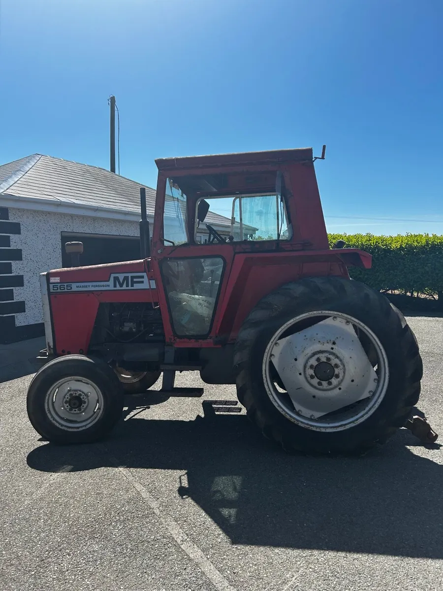 Massey Ferguson 565 - Image 2