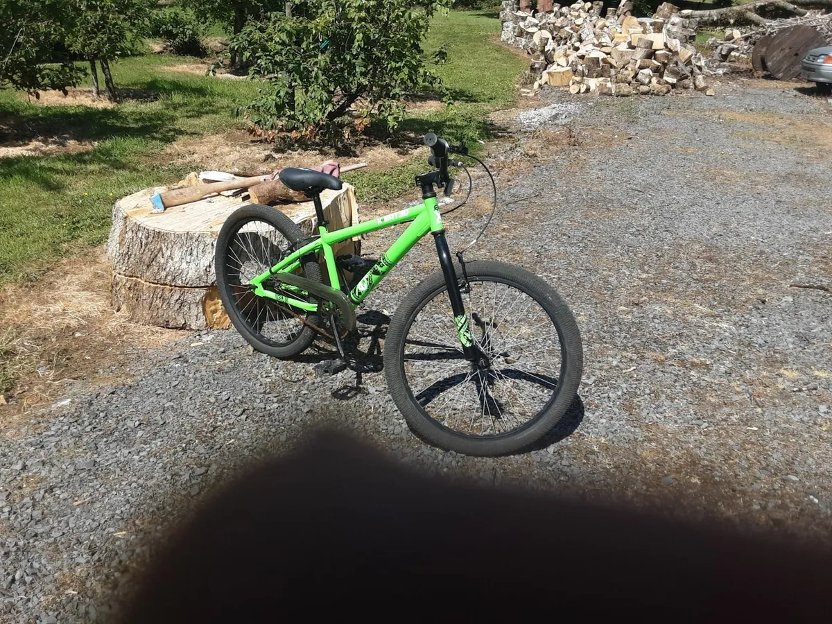 Bicycle - Image 1