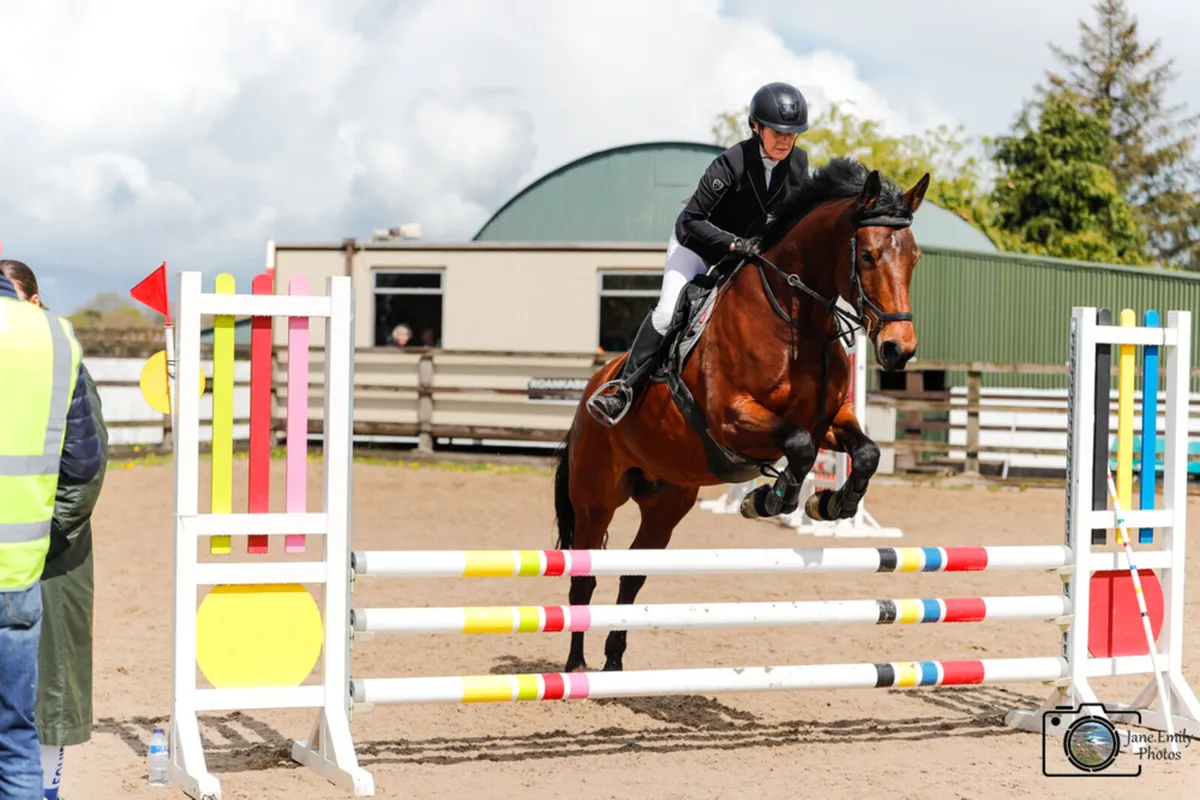Super Riding Club Mare - Image 2