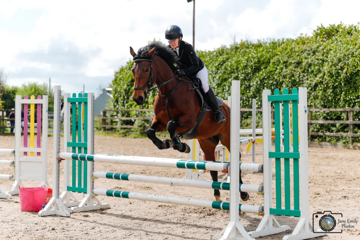 Super Riding Club Mare - Image 3