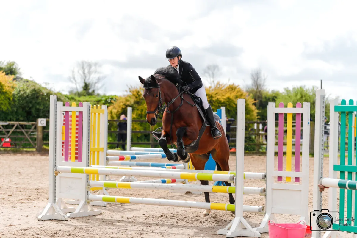 Super Riding Club Mare - Image 4