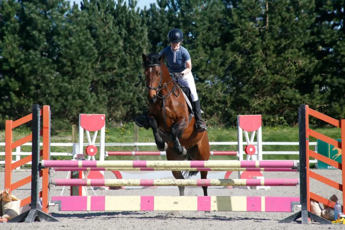 Super Riding Club Mare - Image 1