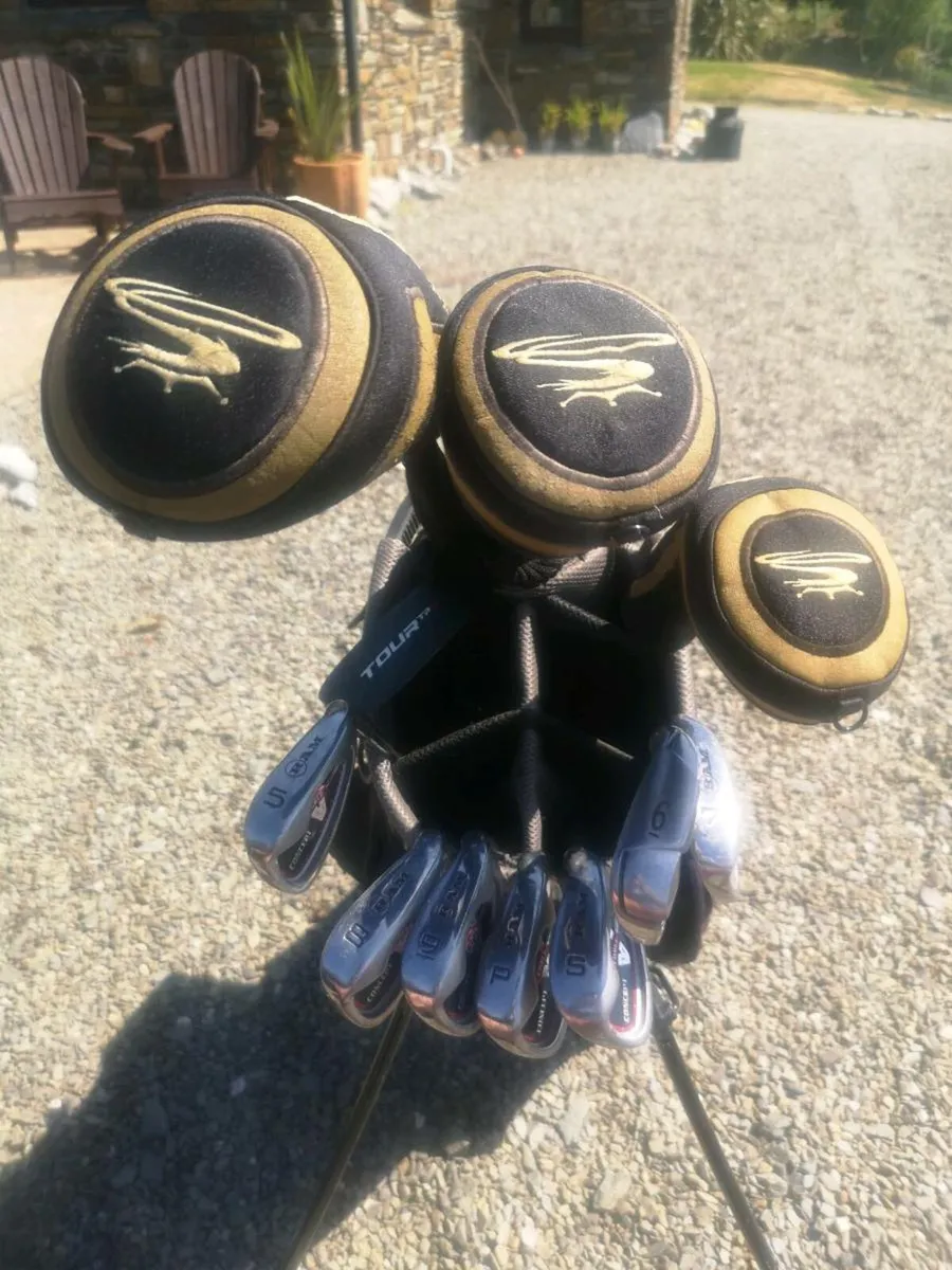 Gents Set, bag, 3 x woods, 7 x irons and a putter - Image 3