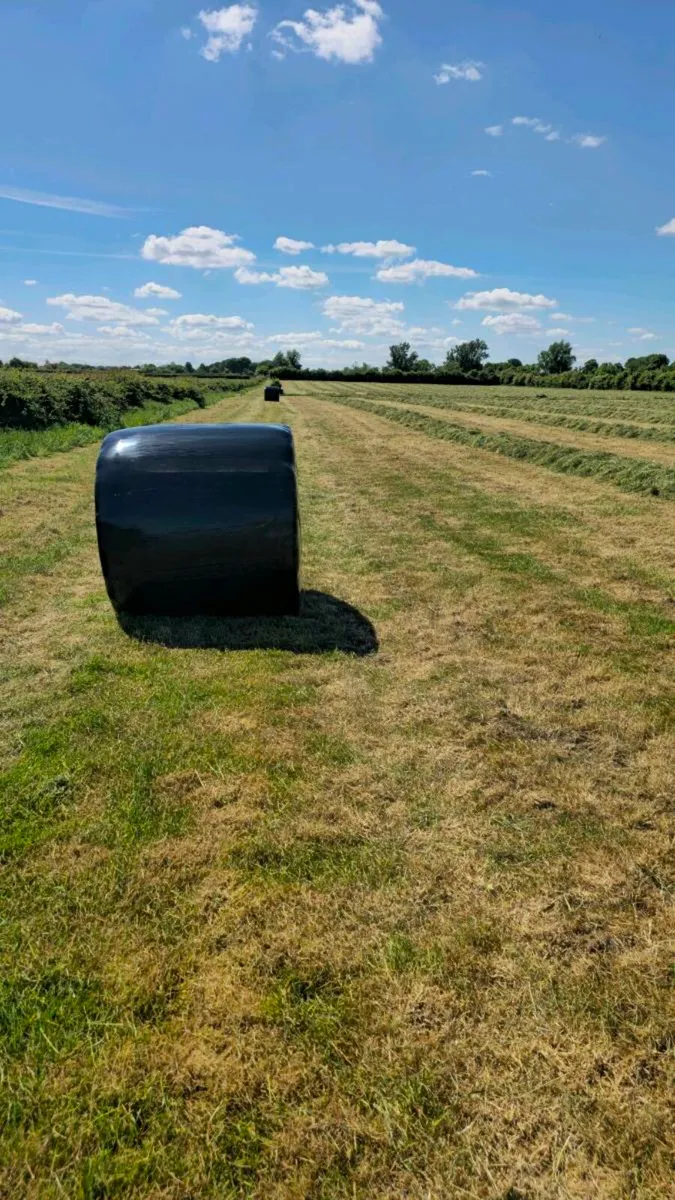 First Cut Silage Bales 2025 - Image 1