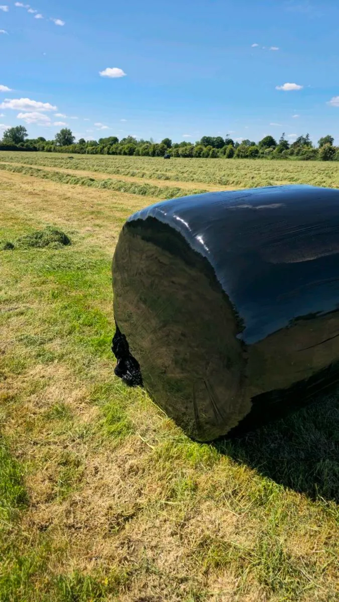 First Cut Silage Bales 2025 - Image 3