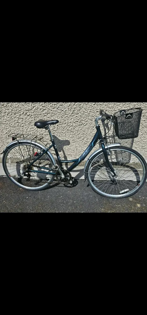 Raleigh bike - Image 1