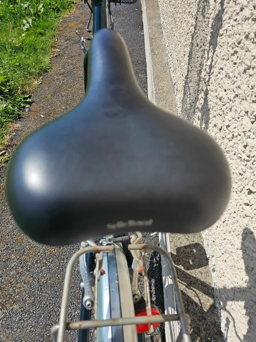 Raleigh bike - Image 3