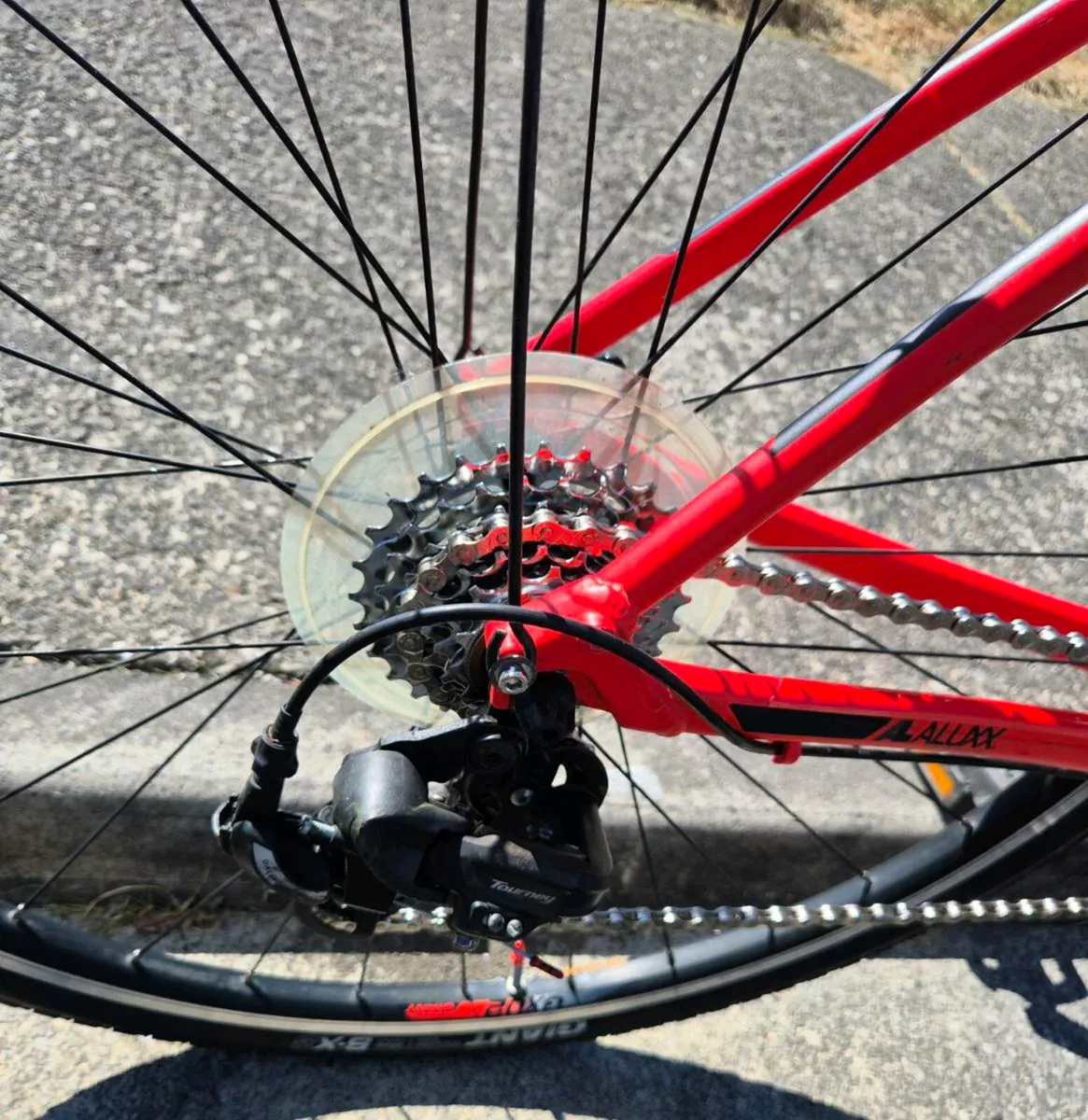 ADULT, ROAD-CITY BICYCLE - Image 2