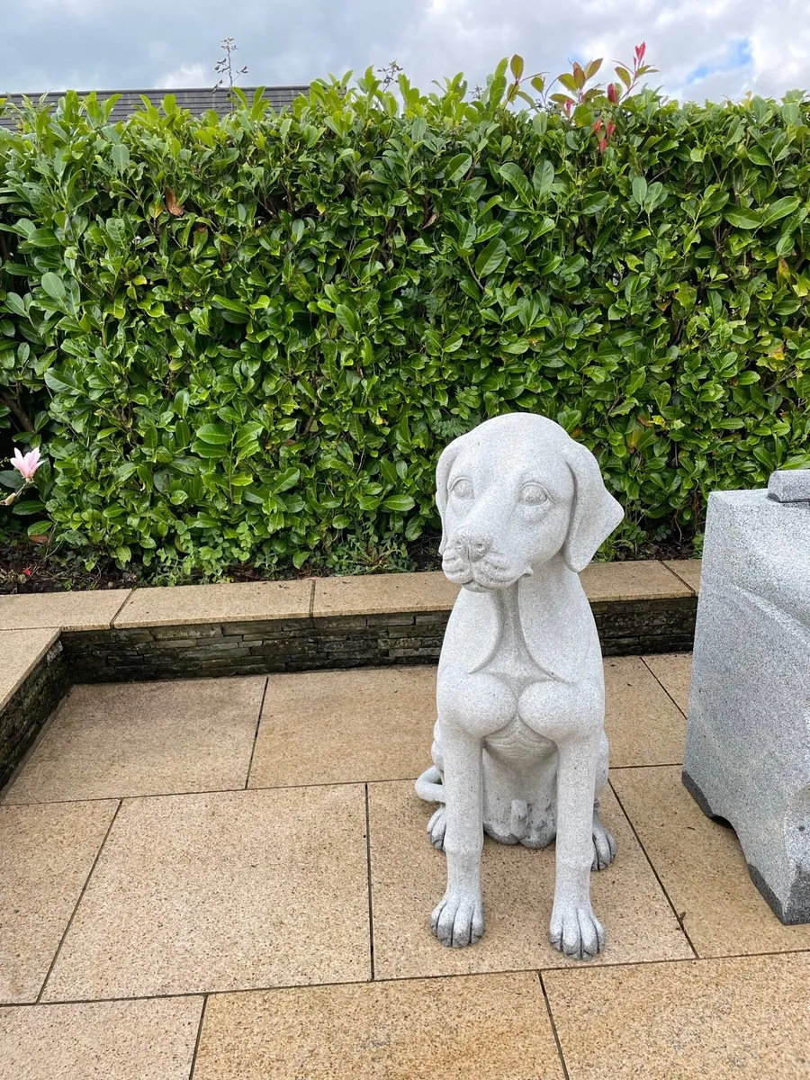 Labrador  / Spaniel  dogs / ornamental - Image 3