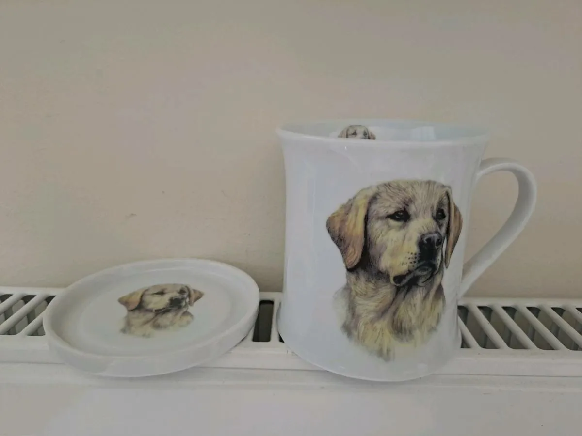 Mug and Coaster set NEW - Image 1