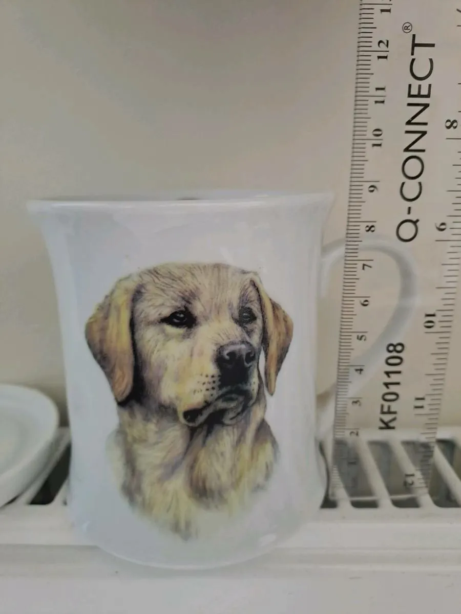 Mug and Coaster set NEW - Image 3