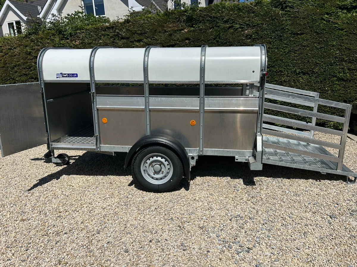 2023 Ifor Williams P8G 8x4 Single Axle Trailer - Image 4