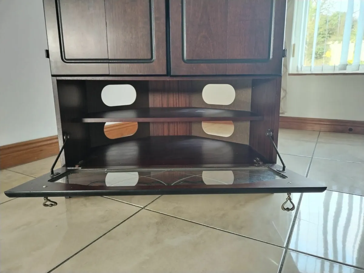 Television Unit - Corner Unit with fold doors - Image 3