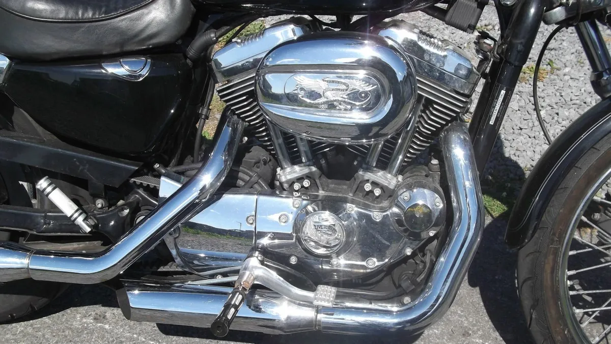 HARLEY DAVIDSON  XL SPORTSTER CUSTOM,TRADE UP - Image 1