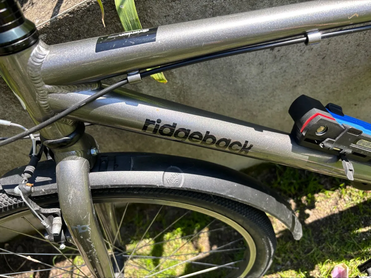 Bike - Ridgeback 26 (Junior) - Image 2