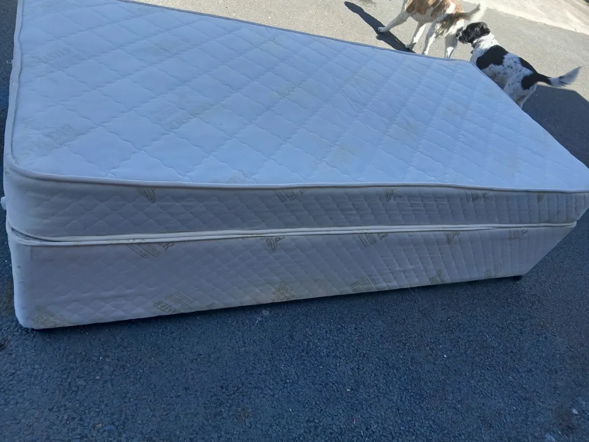 Single bed - Image 2