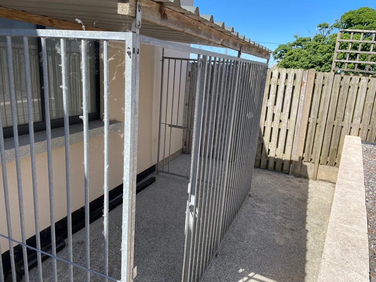 Dog  Run - Image 1
