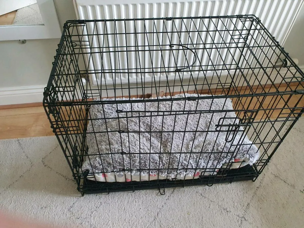 Puppy cage
