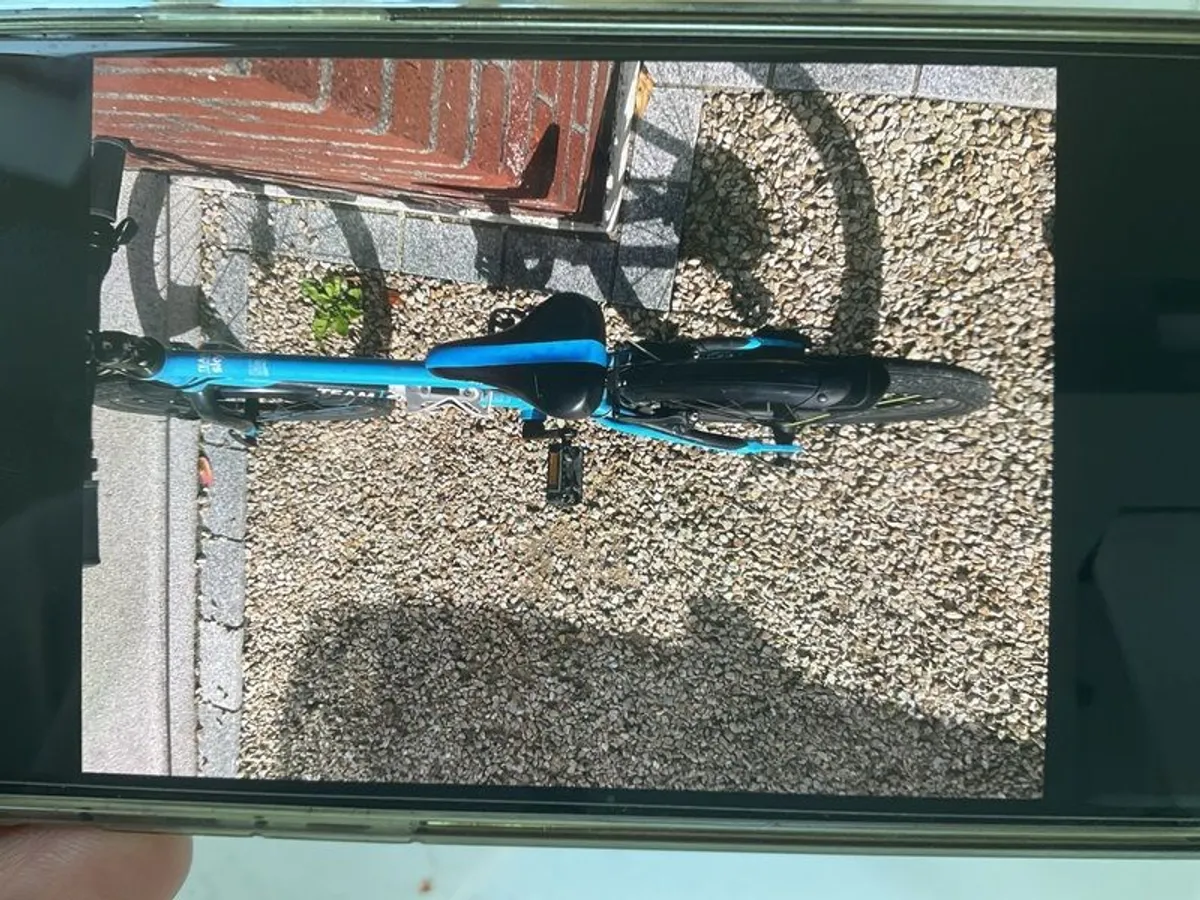 Frog Bike 55 - Image 2