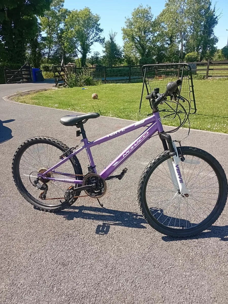 24 Inch Verve Ultra Mountain Bike - Image 1