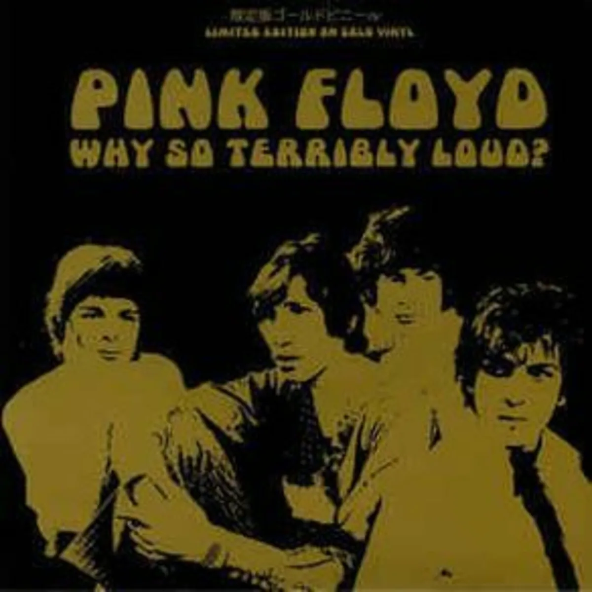 Pink Floyd Ltd Ed Vinyl LP - Why so terribly Loud