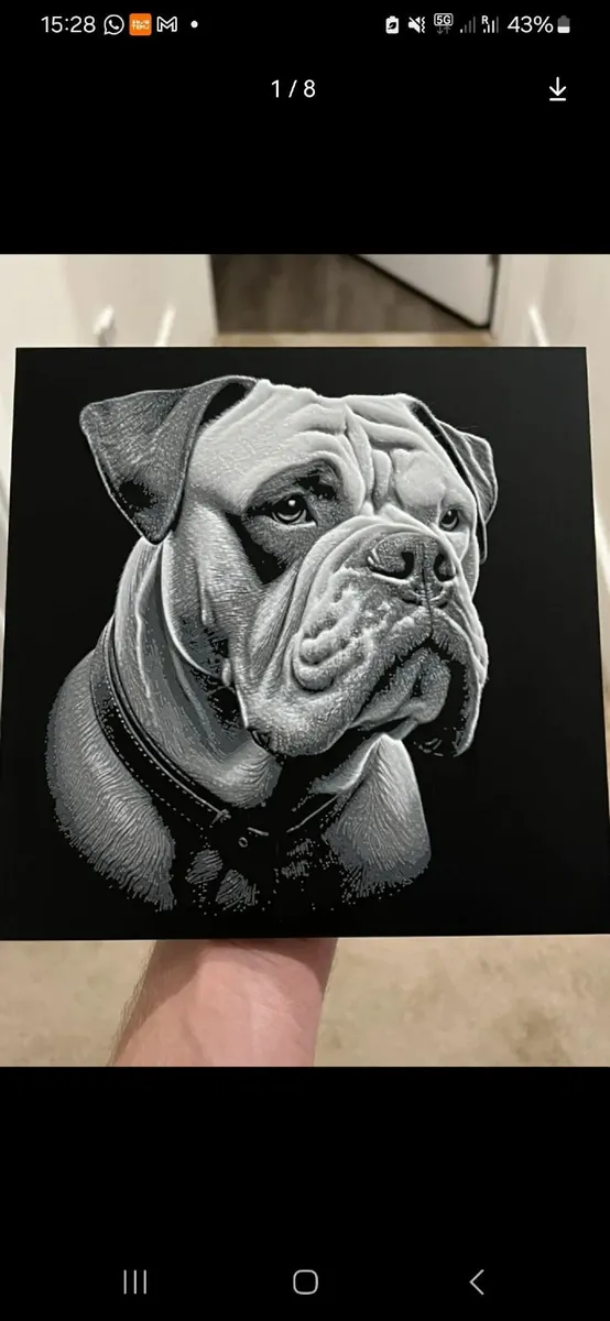 Custom lithographic lamp, light boxes, paintings - Image 4