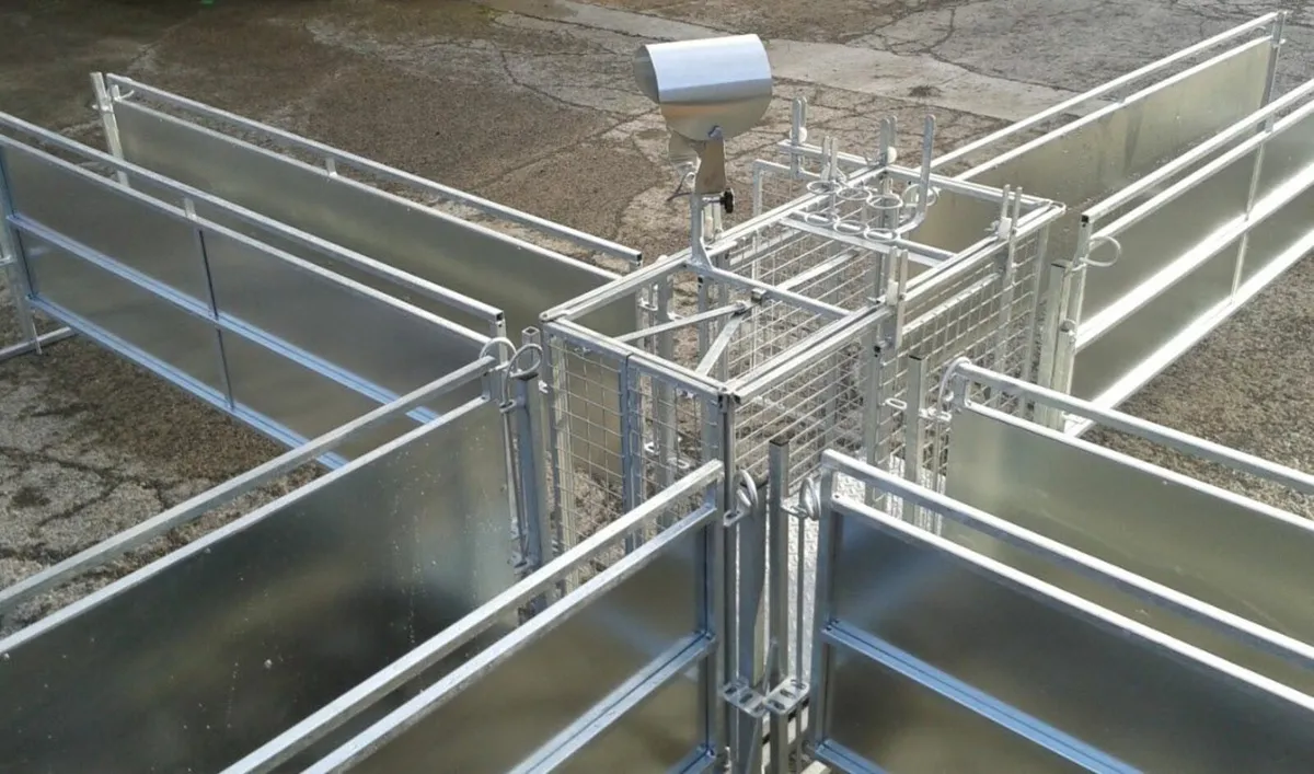 3 way sorting scales - Image 3
