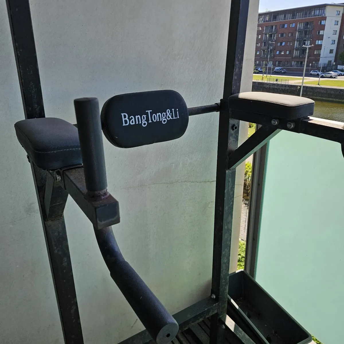 BangTong&Li Pull-Up & Dip Station - FREE - Image 3