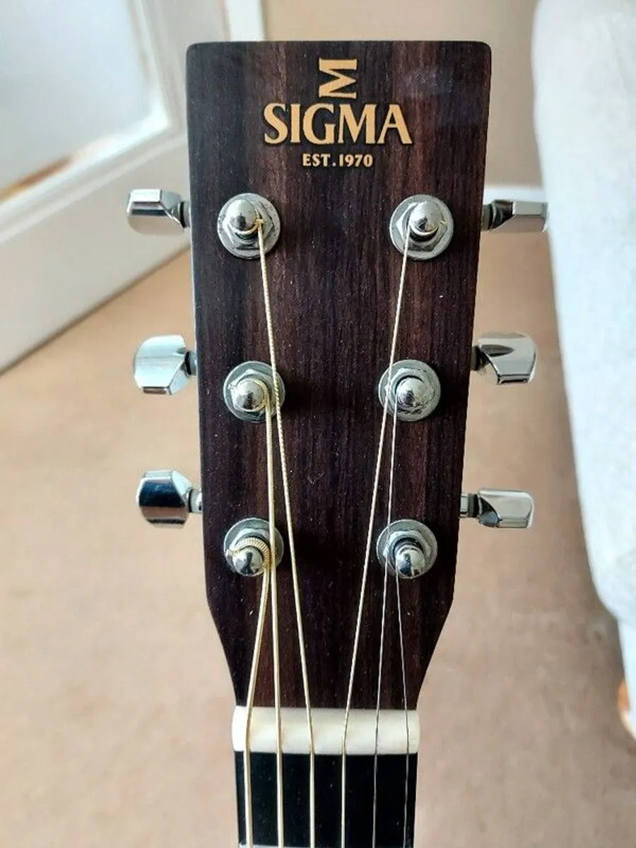 Sigma DSME Legendary Semi Acoustic Guitar - Image 2