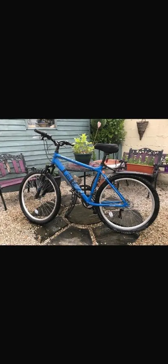 Mens Bike