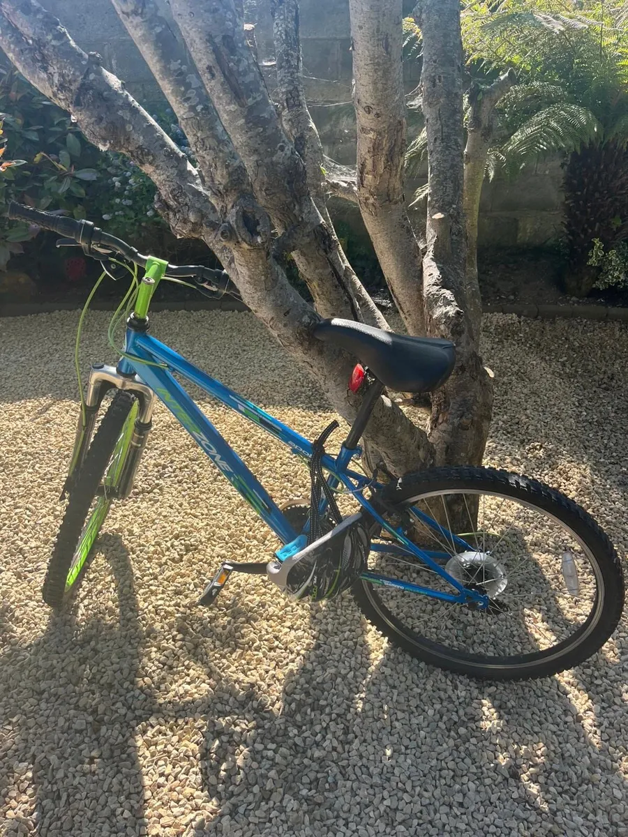 Bike - Image 1