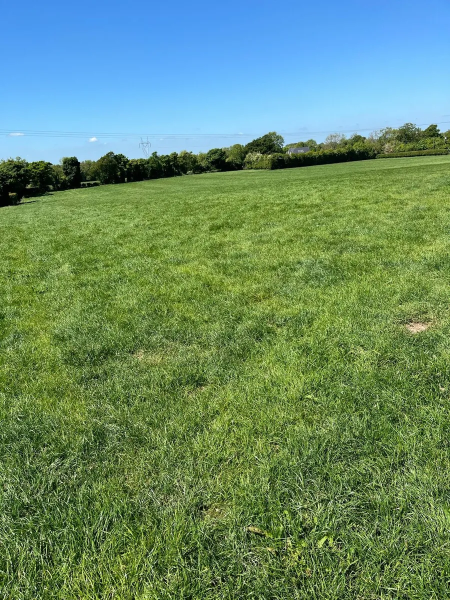 Land for rent