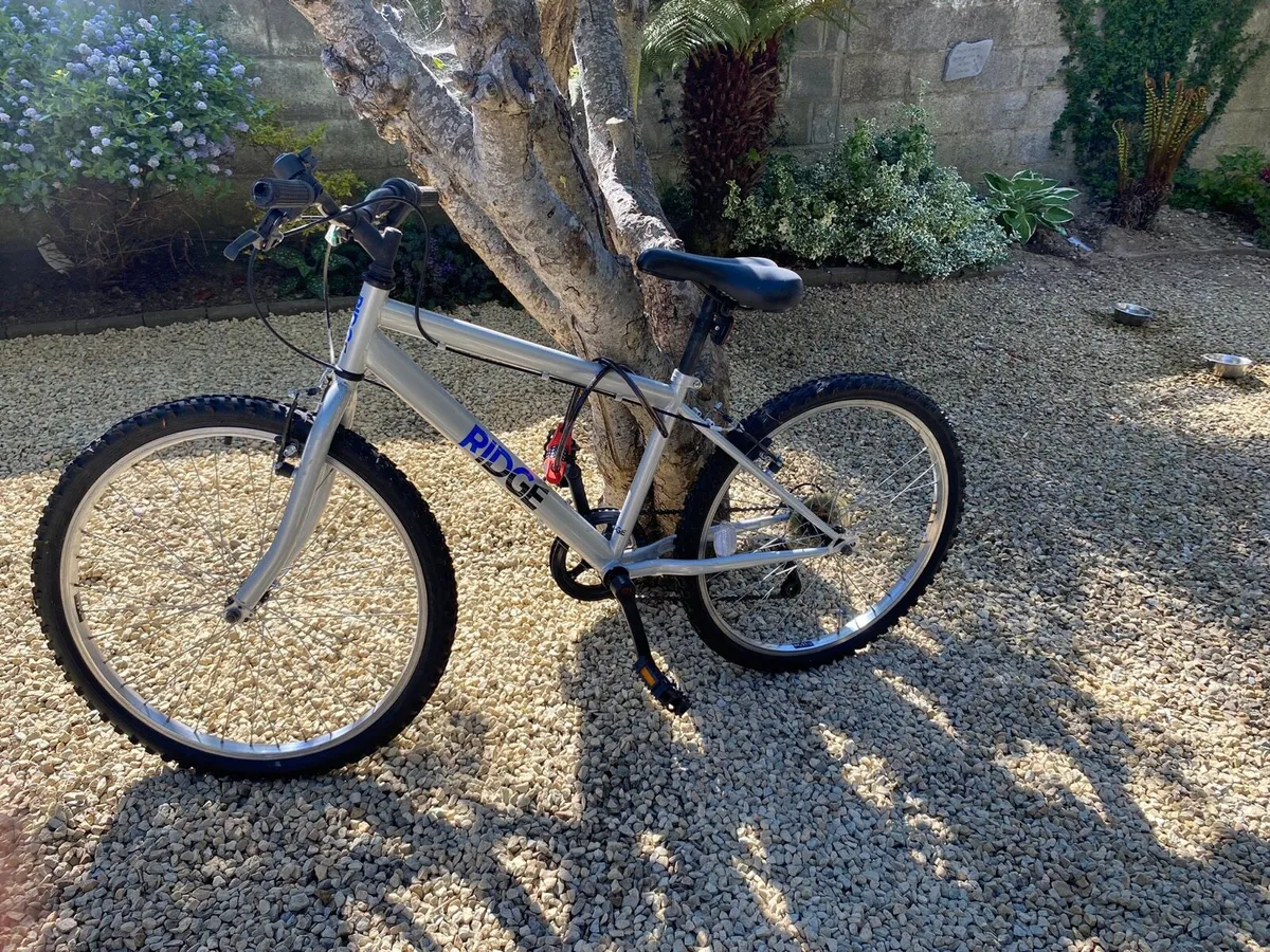 Bike - Image 2