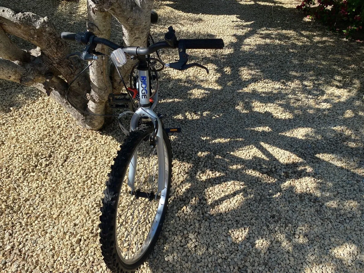Bike - Image 3