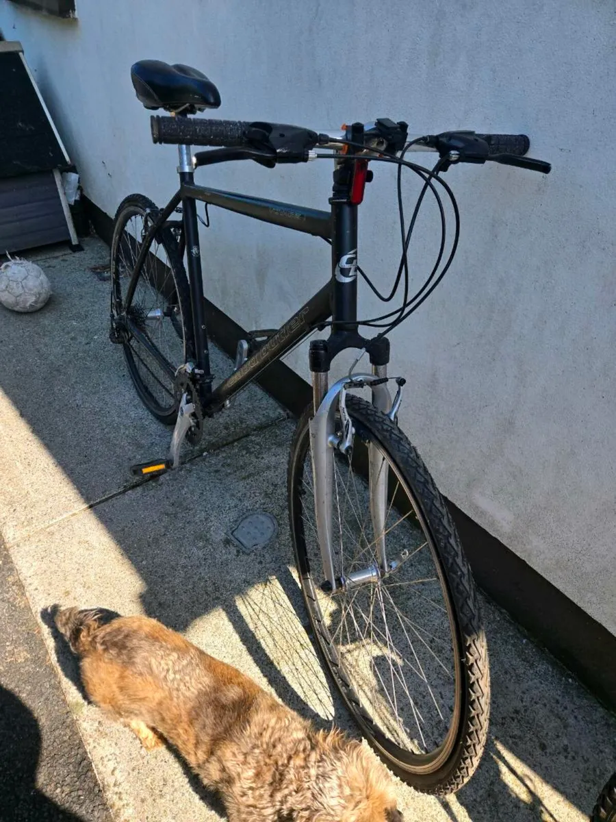 Bicycle - Image 1