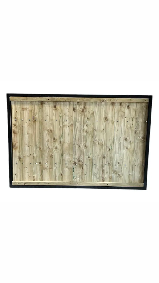 Steel frame gates and doors - Image 4