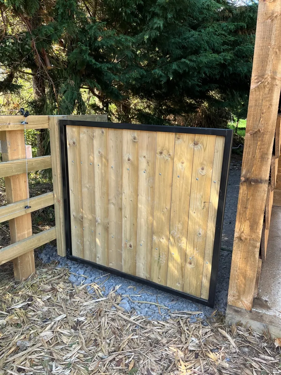 Steel frame gates and doors - Image 1