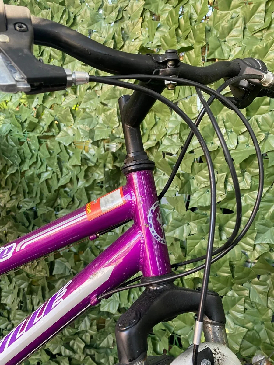 Ladies bike with child carrier - Image 3