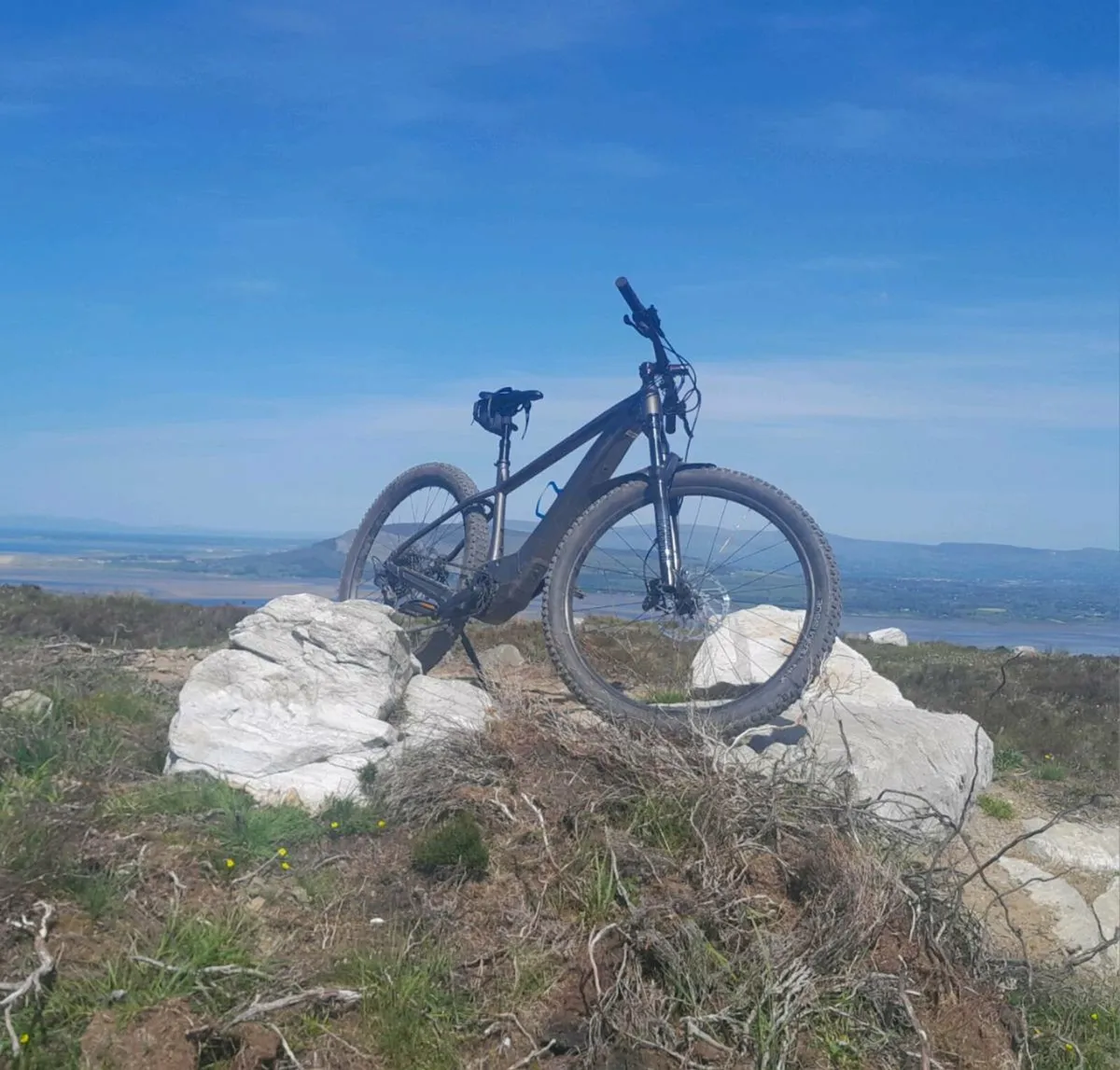 Electric Bike - Trek Marlin+ 8 - Image 1