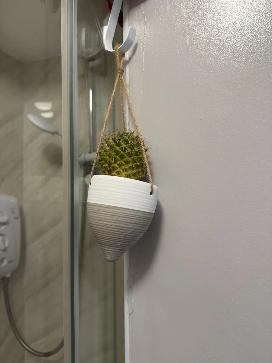 Plants - Image 3