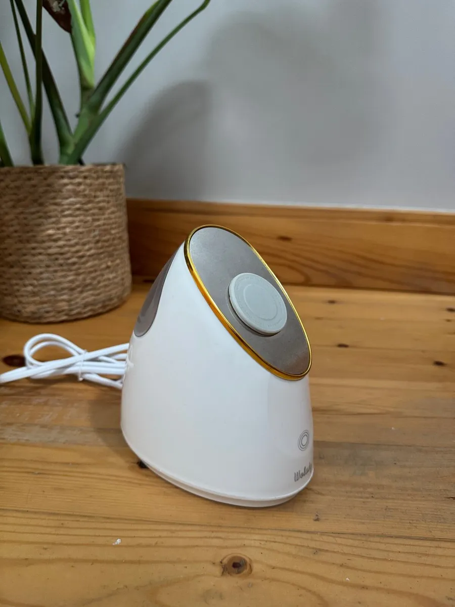 Face steamer