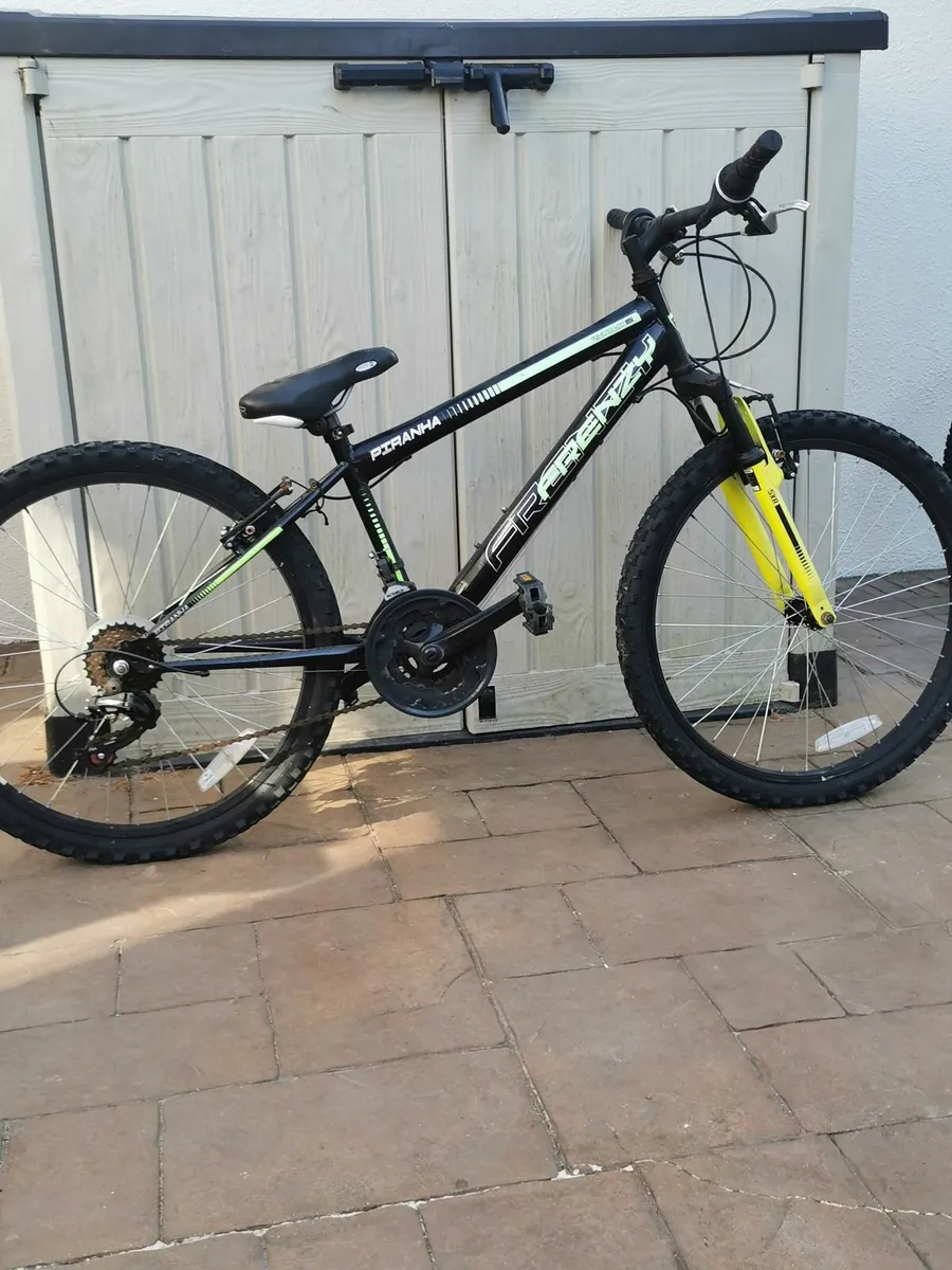 Bicycle - Image 1