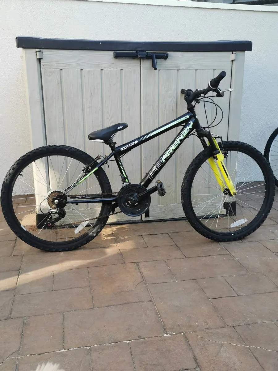 Bicycle - Image 4