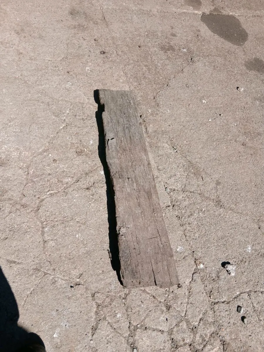 Bog oak - Image 2