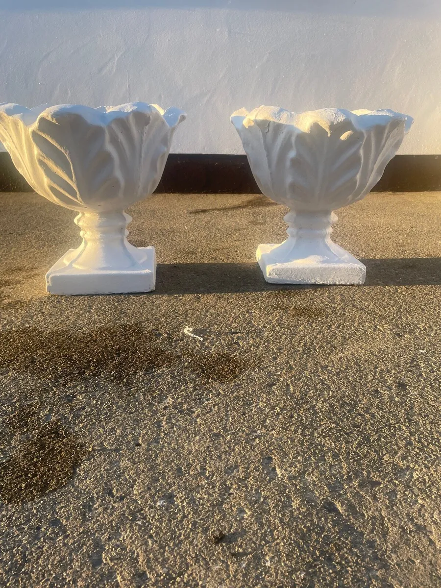 Flower potS - Image 1
