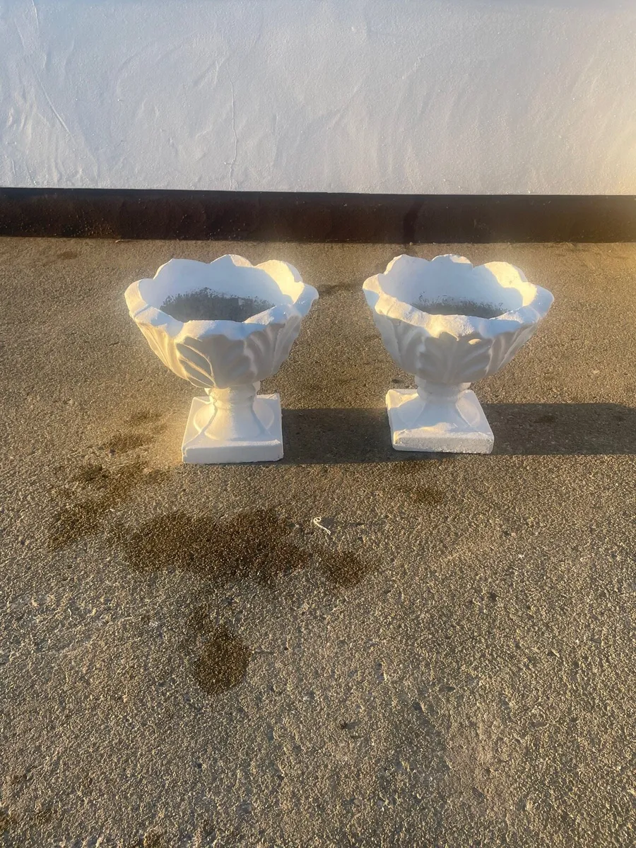 Flower potS - Image 2