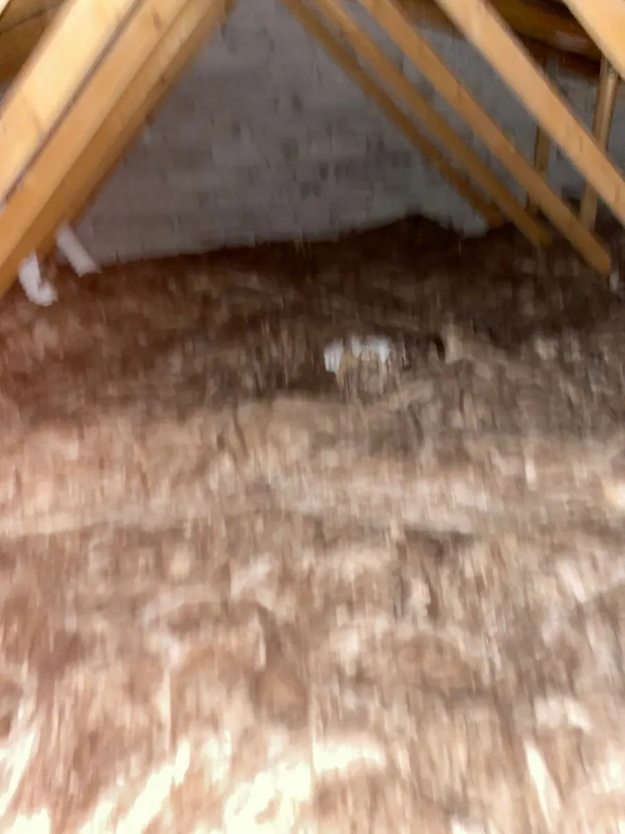 Cavity Wall Insulation.  Attic Insulation. - Image 4