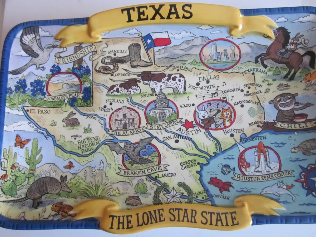 Texas Souvenir Rectangular  Ceramic Platter 13" x - Image 4