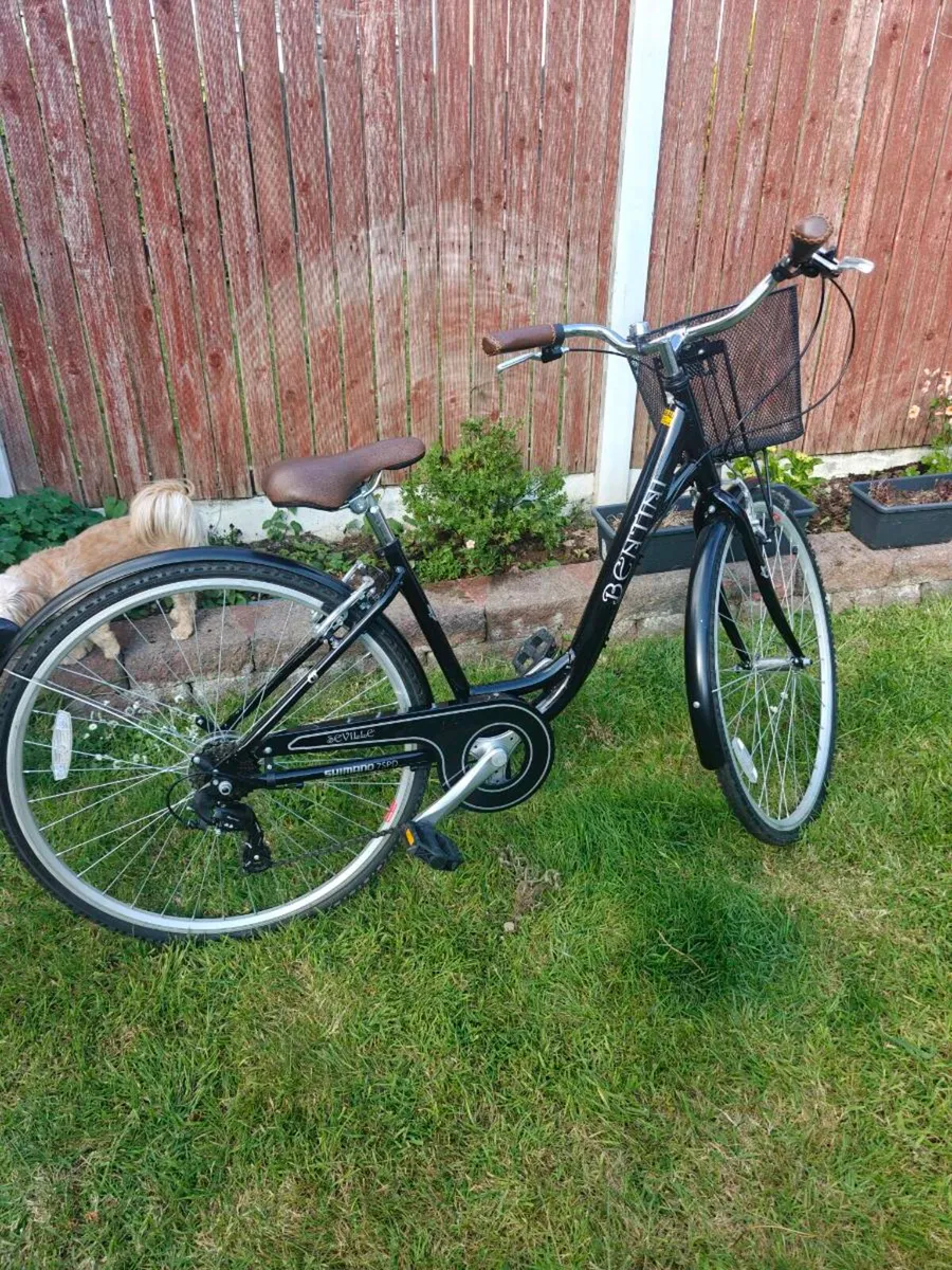 Lady's bike - Image 1