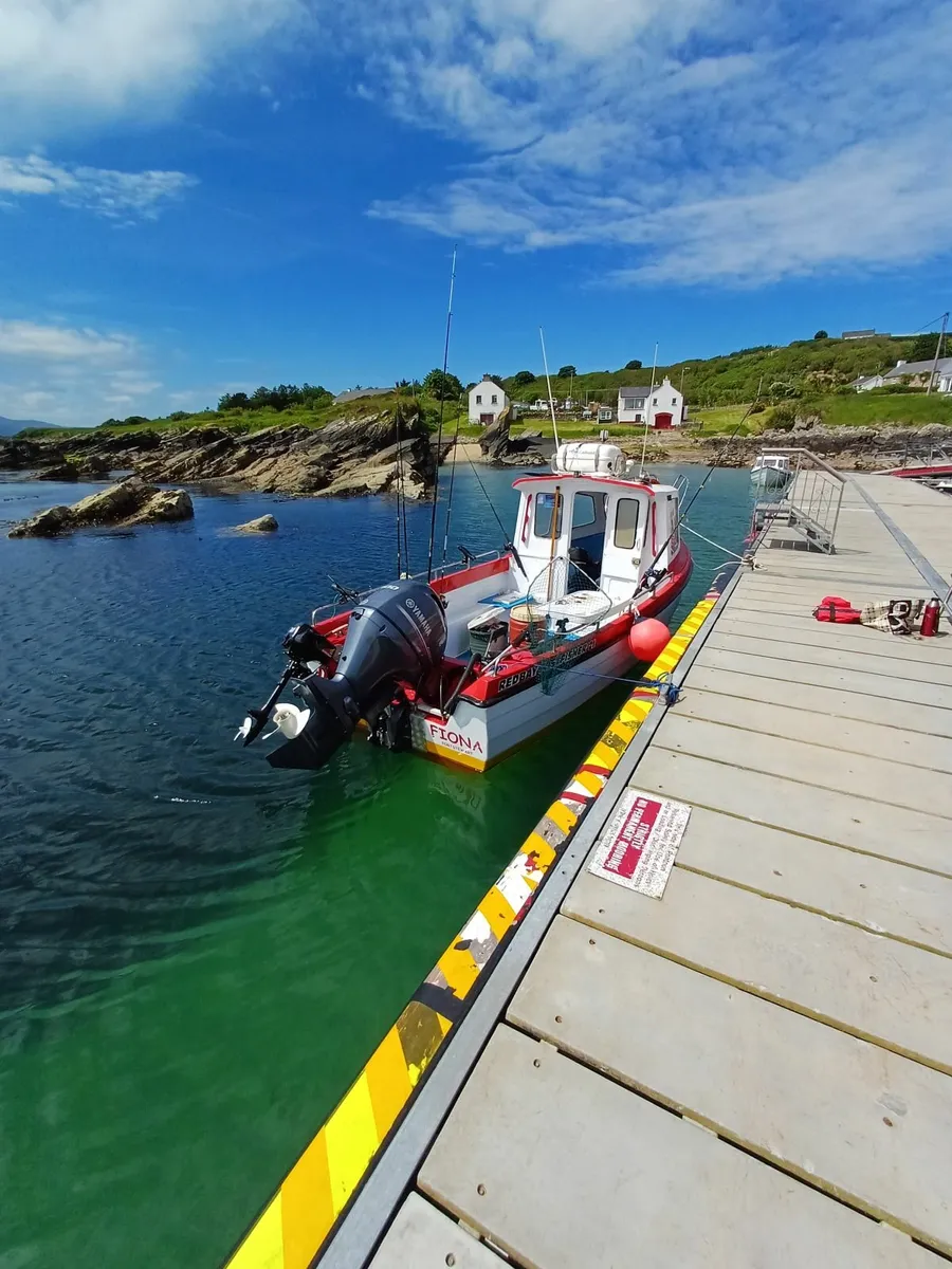 Redbay fisher 21 boat - Image 3